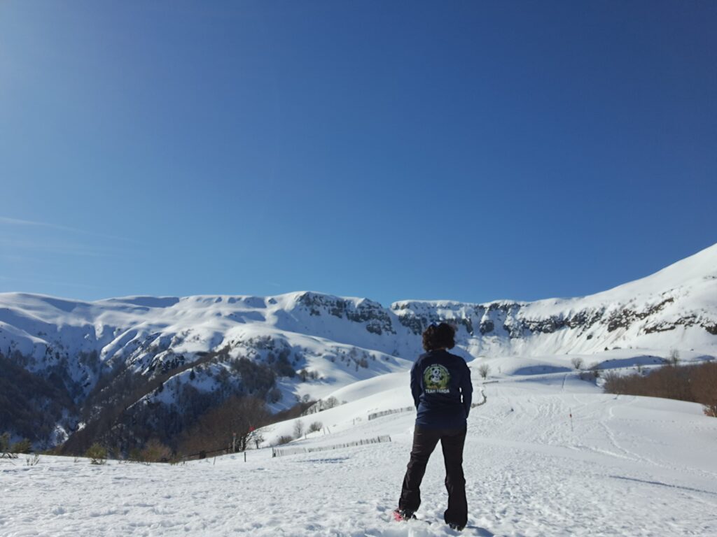 Image #2 de Elisabeth Fusiller