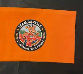 Bandeau Running Gazelle