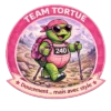 Tortue Marcheur